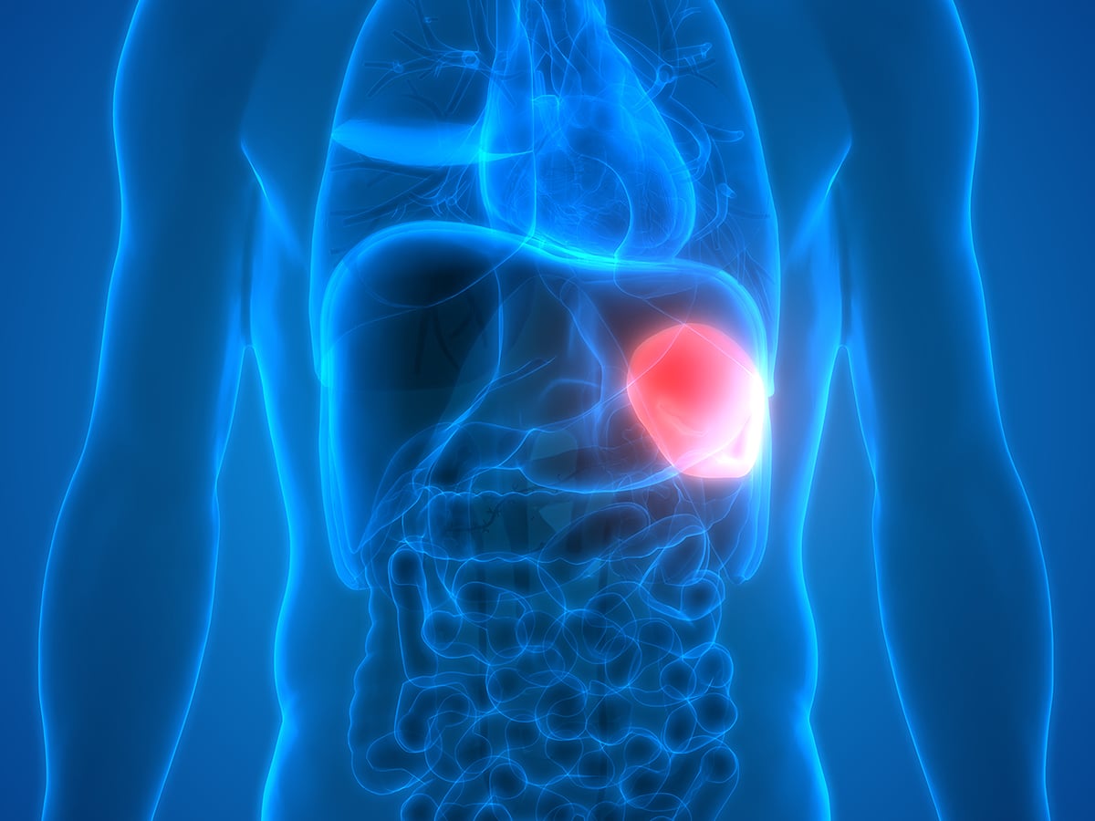 Normal And Enlarged Spleen